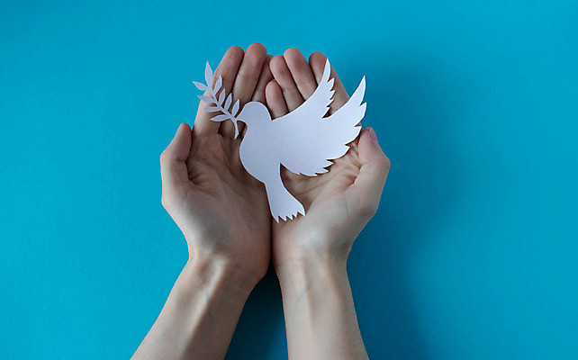 포토 JPG 해외이미지 모양 손 디자인 실루엣 종교 종이 백그라운드 컨셉 날개 휴가 그림자 사랑 미술 사람없음 장식 세계 평화 믿음 희망 낭만 자유 흰색 나뭇가지 축하 자르기 심볼 순수 사인 싱글 비둘기 발견 개발 대패 신앙심 해외포토 나무 감정 컬러 모션 조류 문화예술 촬영기법 신체부위 파일형식 이미지허브