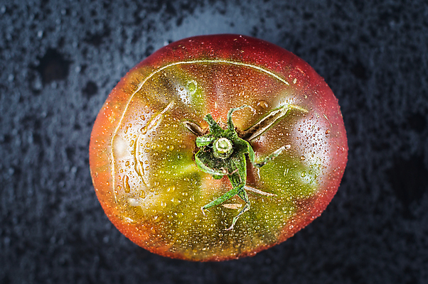 포토 JPG 해외이미지 잡화 음식 백그라운드 농업 토마토 채소 과일 재료 건강 요리 사람없음 빨간색 초록색 물 농작물 어둠 젖음 수확 물방울 나뭇가지 신선 체리 그룹 맛 작음 유기농 생태계 원예 질감 날것 향 국산 내추럴 숙성 식용 채식주의자 많음 비건 맛있는 해외포토 자연요소 나무 웰빙 산업 컬러 컨셉 취미 크기 채식 파일형식 이미지허브