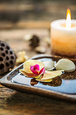 포토 JPG 해외이미지 꽃잎 꽃 꽃무늬 휴식 건강 사람없음 목재 치료 물 뷰티 스파 침묵 벚꽃 신선 난초 사발 아로마 아로마테라피 테라피 내추럴 해외포토 자연요소 나무 식물 컨셉 무늬 재료 의학 소리 사기그릇 파일형식 이미지허브