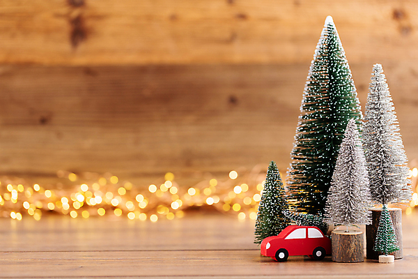 포토 JPG 해외이미지 크리스마스 자동차 실내 사람없음 아웃포커스 크리스마스트리 미니어처 보케 미니트리 나무배경 해외포토 기념일 육상교통 백그라운드 촬영기법 내부 모형 파일형식 이미지허브