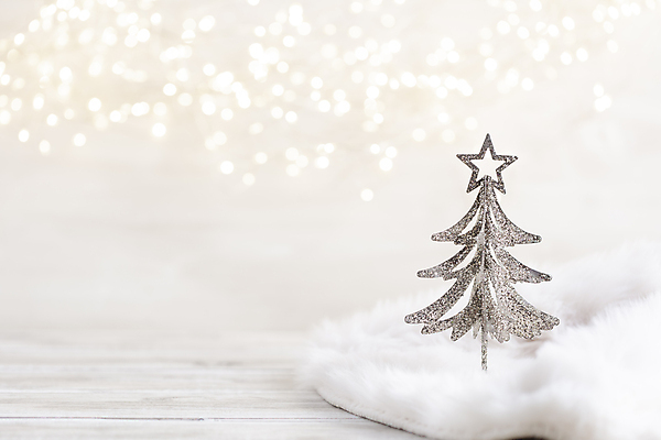 포토 JPG 해외이미지 크리스마스 털 실내 사람없음 아웃포커스 크리스마스트리 미니어처 나무바닥 미니트리 트리모양 해외포토 모양 기념일 바닥 촬영기법 내부 모형 파일형식 이미지허브