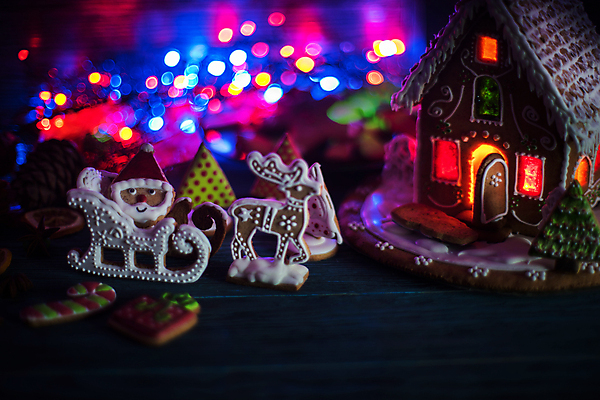 포토 JPG 해외이미지 크리스마스 실내 사람없음 아웃포커스 쿠키 어둠 루돌프 보케 과자집 산타모양 해외포토 모양 기념일 사슴 디저트 촬영기법 내부 산타클로스 파일형식 이미지허브