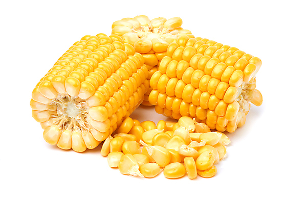 포토 JPG 해외이미지 식물 음식 조각 백그라운드 잎 농업 다이어트 채소 재료 자연 건강 옥수수 씨앗 사람없음 초록색 농장 노란색 젖음 수확 껍질 신선 황금 달콤 맛 낟알 오브젝트 흰배경 유기농 알맹이 날것 내추럴 숙성 채식주의자 맛있는 해외포토 웰빙 산업 컬러 컨셉 곡류 흰색 생태계 채식 파일형식 이미지허브