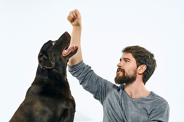 포토 JPG 해외이미지 백인 한마리 남자 반려견 함께함 실내 한명 상반신 성인 앞모습 옆모습 친구 반려동물 손들기 주먹 우정 올려보기 강아지 래브라도리트리버 즐거움 흰배경 성인남자한명만 해외포토 서양인 동물 1 감정 뷰포인트 백그라운드 컨셉 관계 모션 사람 내부 흰색 개 리트리버 남자한명만 성인남자만 파일형식 이미지허브