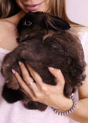 포토 JPG 해외이미지 한마리 여자 포유류 안기 실내 한명 상반신 성인 앞모습 반려동물 갈색 토끼 작음 돌봄 성인여자한명만 해외202309 해외포토 동물 1 뷰포인트 컬러 모션 사람 내부 크기 여자한명만 성인여자만 파일형식 이미지허브