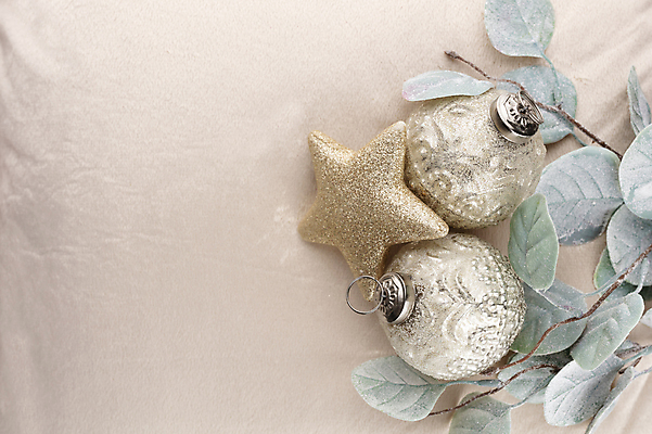 포토 JPG 해외이미지 별 크리스마스장식 크리스마스 겨울 실내 사람없음 하이앵글 오브젝트 별모형 유칼립투스 베이지색배경 오너먼트 카피스페이스 해외포토 자연요소 식물 계절 기념일 뷰포인트 백그라운드 내부 모형 공백 베이지색 파일형식 이미지허브