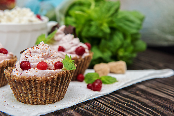 포토 JPG 해외이미지 디저트 사람없음 컵케이크 크랜베리 해외포토 열매 음식 케이크 파일형식 이미지허브