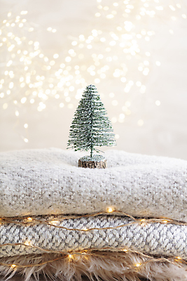 포토 JPG 해외이미지 사람없음 크리스마스트리 미니어처 스웨터 니트 미니트리 해외포토 상의 크리스마스 모형 파일형식 이미지허브