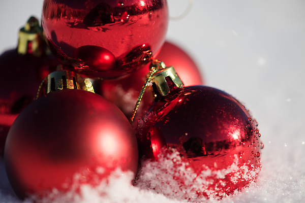 포토 JPG 해외이미지 주간 크리스마스장식 겨울 근접촬영 사람없음 야외 눈 오너먼트 해외포토 자연요소 계절 뷰포인트 크리스마스 날씨 파일형식 이미지허브