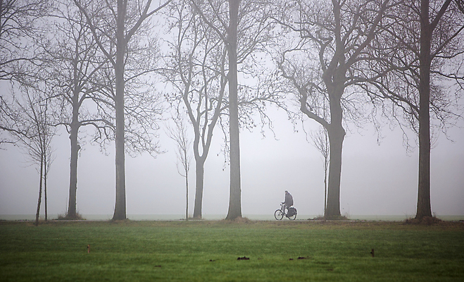 포토 JPG 해외이미지 나무 라이프스타일 실루엣 도로 길 선 여행 겨울 밭 자연 하늘 아침 날씨 건강 사람 풍경 초원 사람없음 야외 초록색 여름 파란색 빛 운동 뷰티 환경 자전거 침묵 안개 시골 네덜란드 사이클링 뿌연 혼자 해외포토 주간 식물 계절 유럽 컬러 농업 교통시설 촬영기법 생활 바이크 소리 육상스포츠 생태계 파일형식 이미지허브