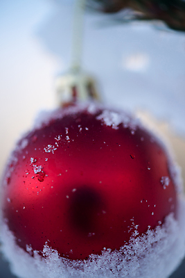 포토 JPG 해외이미지 주간 크리스마스장식 겨울 근접촬영 사람없음 야외 아웃포커스 눈 오너먼트 해외포토 자연요소 계절 뷰포인트 크리스마스 날씨 촬영기법 파일형식 이미지허브