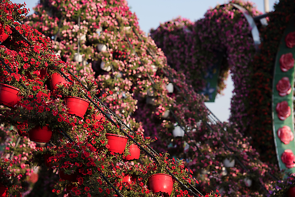 포토 JPG 해외이미지 주간 꽃 사람없음 야외 정원 봄 해외포토 자연요소 식물 계절 파일형식 이미지허브