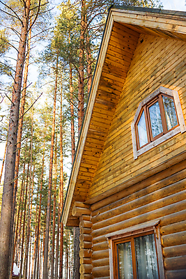 포토 JPG 해외이미지 나무 전통 라이프스타일 디자인 외관 벽 겨울 건축양식 창문 자연 하늘 지붕 새로움 주택 풍경 잔디 초원 사람없음 야외 건물 목재 초록색 여름 파란색 정원 흰색 시골 재산 고급 맨션 싱글 시골집 진짜 스타일 해외포토 식물 건축물 계절 건축 컬러 컨셉 재료 생활 금융 생태계 파일형식 이미지허브