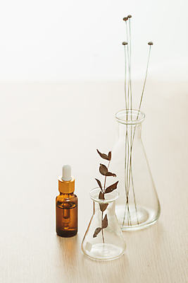 포토 JPG 해외이미지 식물 줄기 잎 실내 사람없음 화장품 흰배경 삼각플라스크 앰플 에스테틱 나무배경 해외포토 백그라운드 내부 뷰티 흰색 플라스크 파일형식 이미지허브