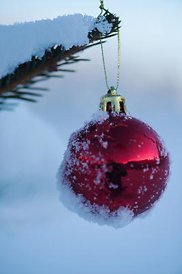 포토 JPG 해외이미지 주간 크리스마스장식 겨울 매달리기 사람없음 야외 아웃포커스 눈 걸림 오너먼트 해외포토 자연요소 계절 크리스마스 모션 날씨 촬영기법 파일형식 이미지허브