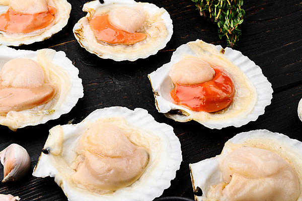 포토 JPG 해외이미지 조개 실내 사람없음 신선 날것 가리비 조갯살 나무배경 해외포토 백그라운드 어패류 내부 파일형식 이미지허브