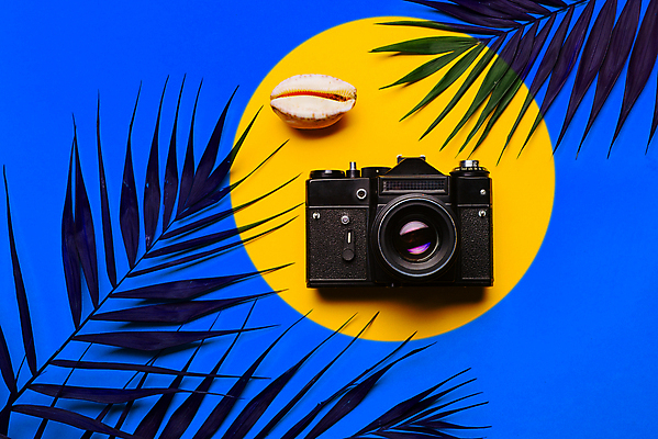 포토 JPG 해외이미지 나무 식물 라이프스타일 디자인 꽃 분홍색 여행 백그라운드 컨셉 잎 꽃무늬 패턴 탁자 휴가 미래 프레임 실험 손바닥 사람없음 여름 컬러풀 뷰티 노란색 유행 카메라 봄 플랫 정상 열대우림 주말 위치 구성 이국적 파스텔톤 환각 히피 목업 그리너리 미니멀 해외포토 손 계절 컬러 가구 무늬 생활 전자제품 숲 증상 파일형식 트랜드컬러 이미지허브