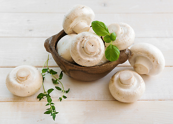 포토 JPG 해외이미지 음식 채소 재료 건강 요리 사람없음 버섯 시골 신선 사발 생식 짠맛 채식주의자 세련 비건 해외포토 사기그릇 맛 채식 파일형식 이미지허브