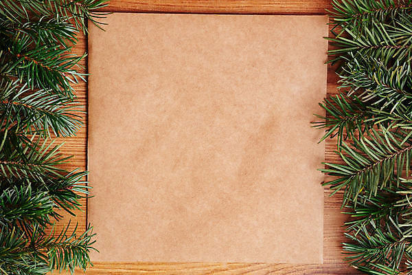 포토 JPG 해외이미지 나무 식물 전통 디자인 배너 계절 종이 백그라운드 잎 크리스마스 겨울 패턴 자연 휴가 프레임 선물 사람없음 목재 장식 초록색 빛 컬러풀 뷰티 크리스마스트리 갈색 정원 어둠 재활용 나뭇가지 신선 소나무 신용카드 상품 친환경 질감 상록수 침엽수 전나무 내추럴 샬레 가문비나무 해외포토 기념일 컬러 무늬 재료 실험기구 금융 환경 생태계 파일형식 이미지허브