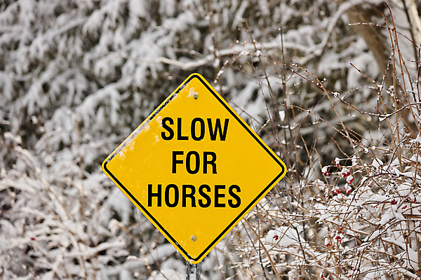 포토 JPG 해외이미지 도로 겨울 경고 안전 사람없음 노란색 정보 시골 표지판 승마 승차 위험 사인 속도 도로표지판 느림 건너기 경고문 라이더 카피스페이스 해외포토 계절 길 스포츠 컬러 컨셉 교통시설 모션 알림판 공백 파일형식 이미지허브