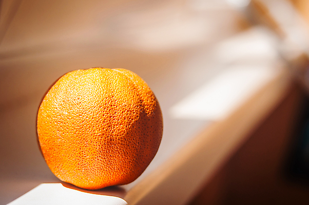 포토 JPG 해외이미지 계절 음식 오렌지 과일 건조 사람없음 태양 껍질 질감 나무껍질 썩음 해외포토 자연요소 나무 파일형식 이미지허브