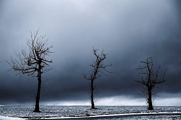 포토 JPG 해외이미지 나무 구름 실루엣 기독교 종교 여행 십자가 겨울 하늘 부활절 산 독일 3 풍경 사람없음 야외 농장 고요 봄 회색 추위 안개 가을 시골 예수 분위기 정상 큼 심볼 언덕 장면 천국 생태학 여신 혼자 해외포토 자연요소 식물 계절 교육 기념일 유럽 컬러 컨셉 농업 날씨 촬영기법 신_종교 크기 파일형식 이미지허브