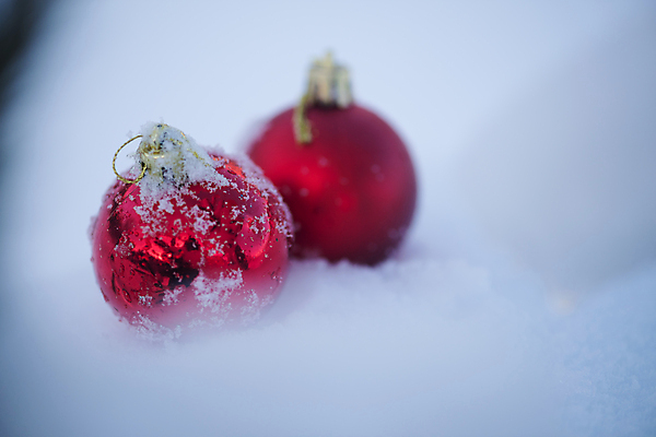 포토 JPG 해외이미지 주간 크리스마스장식 겨울 사람없음 야외 아웃포커스 두개 눈 소프트포커스 오너먼트 해외포토 자연요소 계절 크리스마스 2 날씨 촬영기법 파일형식 이미지허브