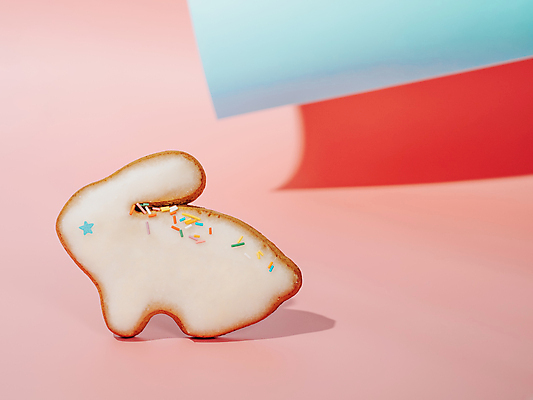 포토 JPG 해외이미지 사람없음 장식 한개 쿠키 토끼 달콤 토끼모양 스프링클 해외포토 모양 1 포유류 디저트 반려동물 맛 파일형식 이미지허브