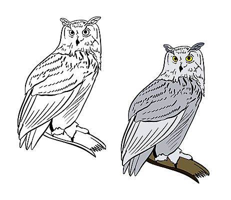 포토 JPG 해외이미지 동물 캐릭터 손 교육 야생동물 선 일러스트 학교 자연 조류 오리 흑백 사람없음 그래픽 책 컬러풀 운동 연필 농장 검은색 회색 흰색 그리기 낙서 인쇄 만화 스케치 심볼 그림 윤곽 부엉이 페이지 고립 색칠공부 해외일러스트 컬러 농업 모션 학용품 촬영기법 건강 미술 신체부위 학습 필기구 색칠 생태계 파일형식 이미지허브