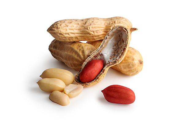 포토 JPG 해외이미지 건조 사람없음 갈색 껍질 알맹이 땅콩 해외포토 컬러 견과류 파일형식 이미지허브