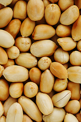 포토 JPG 해외이미지 백그라운드 실내 근접촬영 사람없음 견과류 가득함 유기농 땅콩 해외포토 웰빙 뷰포인트 내부 파일형식 이미지허브