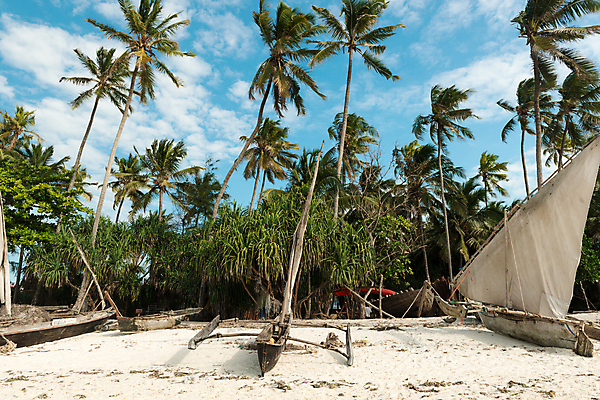 포토 JPG 해외이미지 나무 전통 모래 바다 섬 여행 아프리카 자연 하늘 낚시 휴가 항해 손바닥 어류 사람없음 목재 모래사장 컬러풀 뷰티 평화 마을 보트 곤돌라 함선 카누 낚시꾼 돛대 옛날 이국적 탄자니아 핸드메이드 해외포토 식물 손 나라 컬러 컨셉 배_교통 재료 레저 수중동물 수상스포츠 생태계 파일형식 이미지허브
