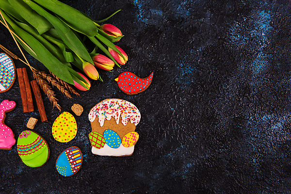 포토 JPG 해외이미지 꽃 잎 사람없음 장식 화려 부활절계란 새모양 시나몬 토끼모양 진저쿠키 스프링클 카피스페이스 해외포토 모양 식물 컨셉 부활절 쿠키 계란 공백 파일형식 이미지허브