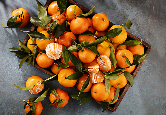 포토 JPG 해외이미지 회색배경 귤 실내 사람없음 하이앵글 바구니 가득함 담기 해외포토 뷰포인트 백그라운드 과일 모션 내부 회색 파일형식 이미지허브