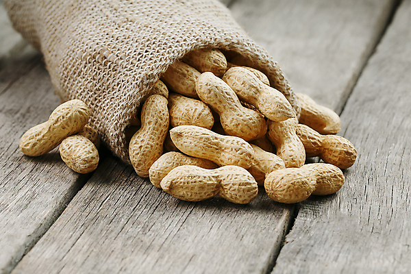 포토 JPG 해외이미지 실내 사람없음 견과류 유기농 담기 땅콩 자루 쏟아짐 나무탁자 해외포토 웰빙 모션 탁자 내부 파일형식 이미지허브