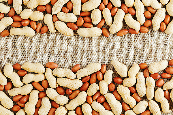 포토 JPG 해외이미지 탁자 프레임 실내 사람없음 견과류 유기농 땅콩 땅콩껍질 해외포토 웰빙 가구 내부 껍질 파일형식 이미지허브