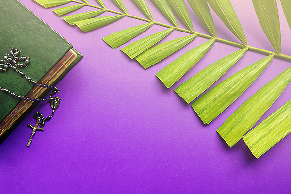 포토 JPG 해외이미지 기독교 종교 백그라운드 컨셉 십자가 잎 부활절 손바닥 사람없음 믿음 성경 공백 천주교 기도 예수 메시지 신성 희생 묵주 숭배 신앙심 카피스페이스 해외포토 식물 손 기념일 감정 종교용품 신_종교 파일형식 이미지허브