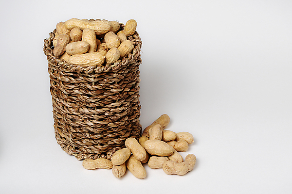 포토 JPG 해외이미지 디자인 음식 백그라운드 다이어트 재료 텍스트 자연 탁자 건조 건강 씨앗 사람없음 목재 갈색 바구니 우주 견과류 수확 껍질 흰색 시골 신선 그룹 닫기 맛 작음 컨테이너 먹기 가득함 유기농 질감 레이아웃 날것 땅콩 호두 내추럴 채식주의자 맛있는 해외포토 나무 식물 웰빙 산업 컬러 가구 컨셉 농업 모션 크기 생태계 채식 파일형식 이미지허브