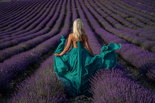 포토 JPG 해외이미지 주간 전신 여자 한명 성인 야외 뒷모습 보라색 잡기 라벤더 성인여자한명만 해외포토 자연요소 1 꽃 뷰포인트 컬러 모션 사람 허브 여자한명만 성인여자만 파일형식 이미지허브