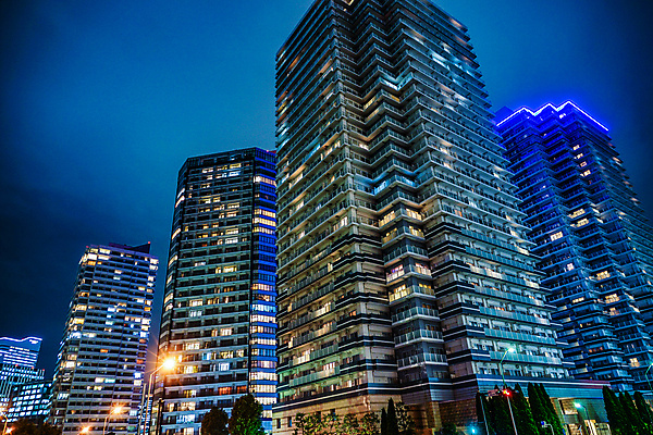 포토 JPG 해외이미지 나무 야경 사람없음 야외 건물 파란색 도시풍경 일본 고층빌딩 도시 요코하마 해외포토 식물 건축물 아시아 컬러 풍경 빌딩 야간 파일형식 풍경_경치 이미지허브