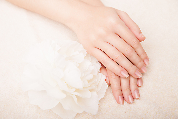 포토 JPG 해외이미지 백인 손 여자 꽃 신체 손가락 휴식 건강 관리 손바닥 한명 사람 치료 수건 뷰티 상점 스파 화장품 흰색 신선 마사지 못 화려 우아함 매끈함 손톱관리 손톱 피부 순수 피부관리 부드러움 광택 테라피 내추럴 프랑스어 돌봄 수분크림 위생관리 해외포토 서양인 식물 문자 1 컬러 컨셉 의학 모션 신체부위 위생용품 공구 감각 네일아트 파일형식 이미지허브