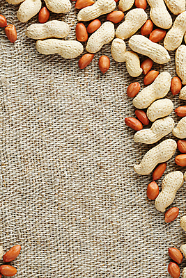 포토 JPG 해외이미지 탁자 실내 사람없음 견과류 유기농 땅콩 땅콩껍질 카피스페이스 해외포토 웰빙 가구 내부 공백 껍질 파일형식 이미지허브