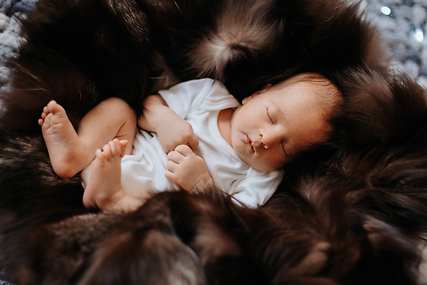 포토 JPG 해외이미지 전신 털 실내 한명 앞모습 귀여움 눈감음 아기 잠 해외포토 1 뷰포인트 컨셉 모션 사람 내부 파일형식 이미지허브