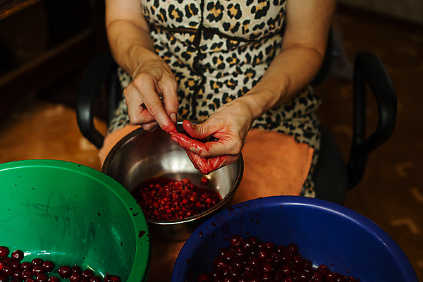 포토 JPG 해외이미지 열매 문화 무기 주택 실내 한명 앉기 사람없음 빨간색 농작물 수확 신선 업무 체리 사발 달콤 맛 준비 유기농 날것 대야 방법 맛있는 해외포토 식물 1 웰빙 컬러 컨셉 농업 과일 모션 사람 내부 건물 작업 사기그릇 파일형식 이미지허브