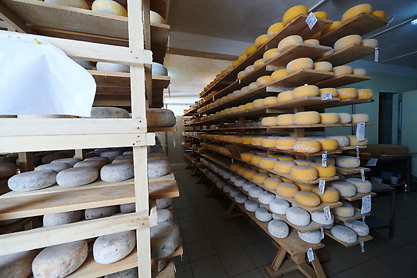 포토 JPG 해외이미지 공장 치즈 선반 사람없음 쌓기 제조 저장 유기농 발효 수납 숙성 저장소 전통방식 많음 해외포토 전통 웰빙 가구 컨셉 공업 모션 유제품 파일형식 이미지허브