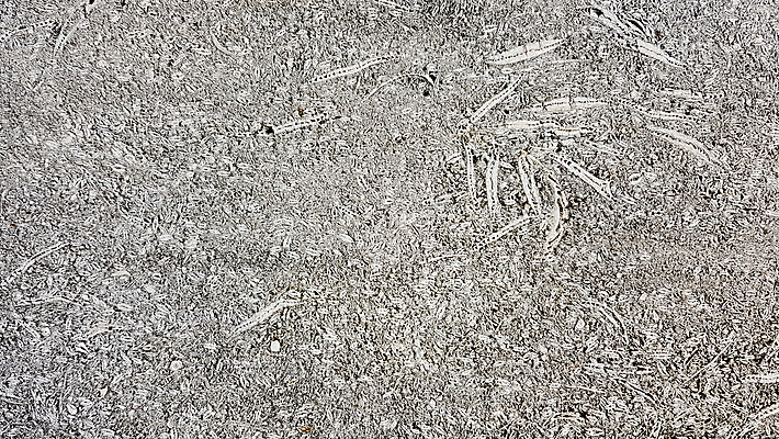 포토 JPG 해외이미지 디자인 외관 벽 백그라운드 패턴 건축양식 벽지 표면 날씨 추상 돌담 사람없음 내부 우주 페인트 손상 회색 수확 골동품 흰색 얼룩 거친 균열 질감 복고 시멘트 스크래치 구식 그런지 석고 옛날 콘크리트 효과 해외포토 건축 컬러 컨셉 무늬 농업 모션 담장 돌_바위 파일형식 이미지허브