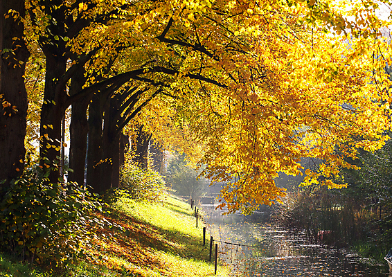 포토 JPG 해외이미지 주간 단풍 단풍나무 풍경 사람없음 야외 강 가을 해외포토 자연요소 나무 계절 잎 파일형식 이미지허브