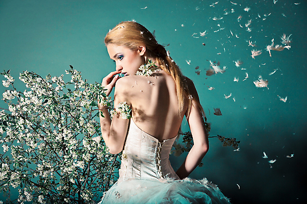 포토 JPG 해외이미지 백인 모델 응시 드레스 여자 꽃 웨딩드레스 포즈 결혼 한명 상반신 성인 뒷모습 손들기 화려 우아함 깃털 성인여자한명만 해외포토 서양인 식물 1 시선 옷 뷰포인트 컨셉 모션 사람 이벤트 여자한명만 성인여자만 파일형식 이미지허브