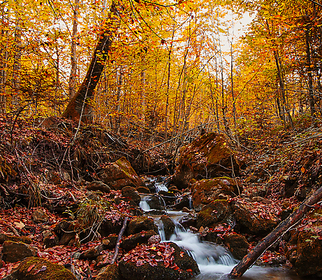 포토 JPG 해외이미지 주간 단풍 단풍나무 사람없음 야외 계곡 폭포 해외포토 자연요소 나무 잎 자연 파일형식 이미지허브