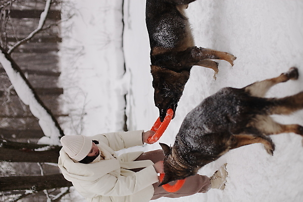 포토 JPG 해외이미지 백인 모델 모자 라이프스타일 옷 계절 공원 여자 행복 얼굴 백그라운드 크리스마스 겨울 날씨 따뜻함 한명 미소 사람 성인 야외 청춘 뷰티 유행 목도리 기쁨 추위 흰색 눈송이 개 치아 숲 시원함 스웨터 서리 해외포토 서양인 1 잡화 공공시설 기념일 감정 컬러 컨셉 상의 포유류 눈_날씨 표정 생활 신체부위 소화기관 파일형식 이미지허브